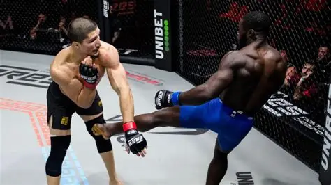 Baki mis Ko vs Jordan Zébo : résumé d’un combat qui a bouleversé le MMA français