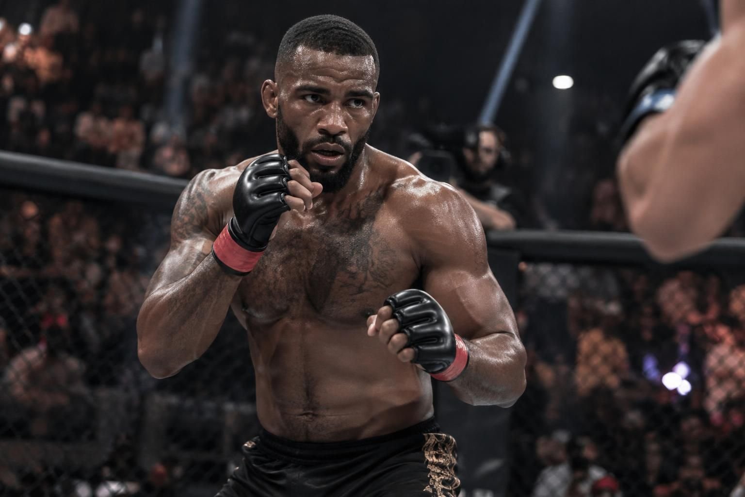 ARES FC : retrouvez les actualités de l’organisation de MMA — page 3